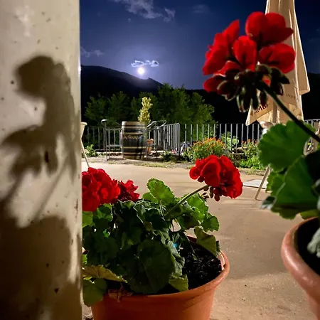 Guara Inluka Hotel *